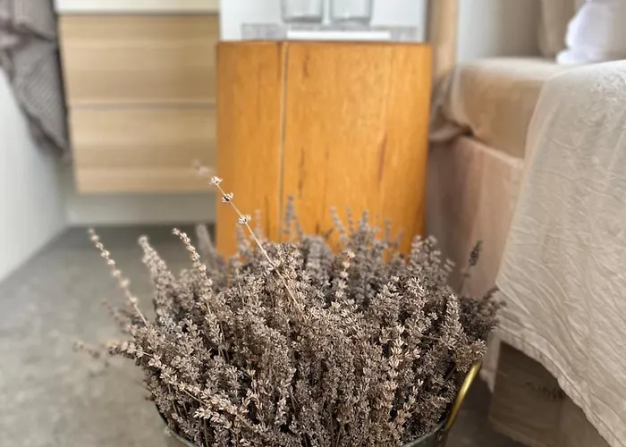 Casa Jena Istria - With Amazing Pool